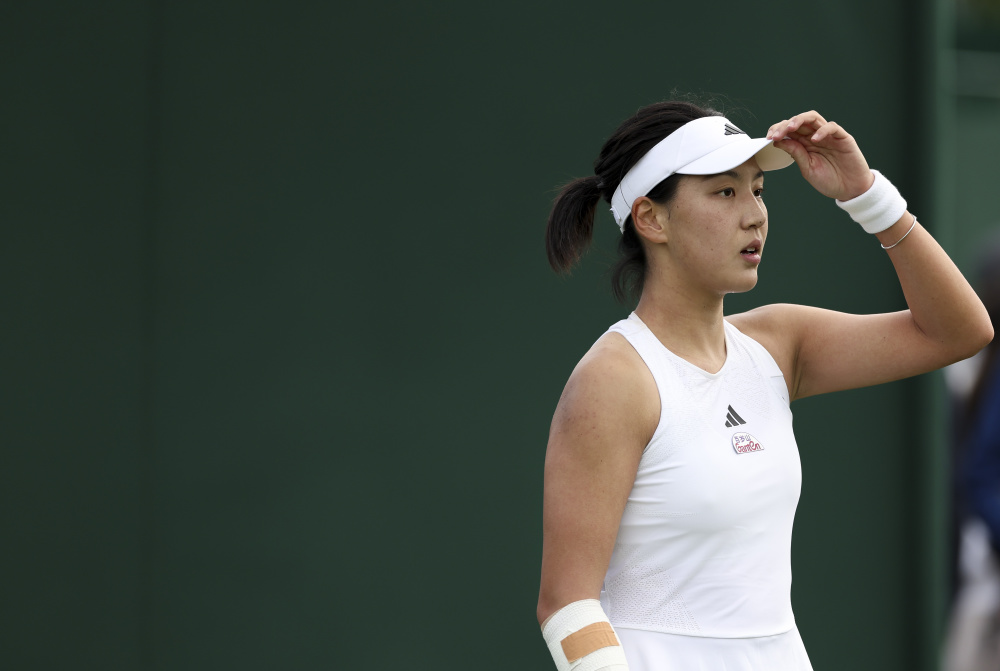 这次引援被 这次引援被